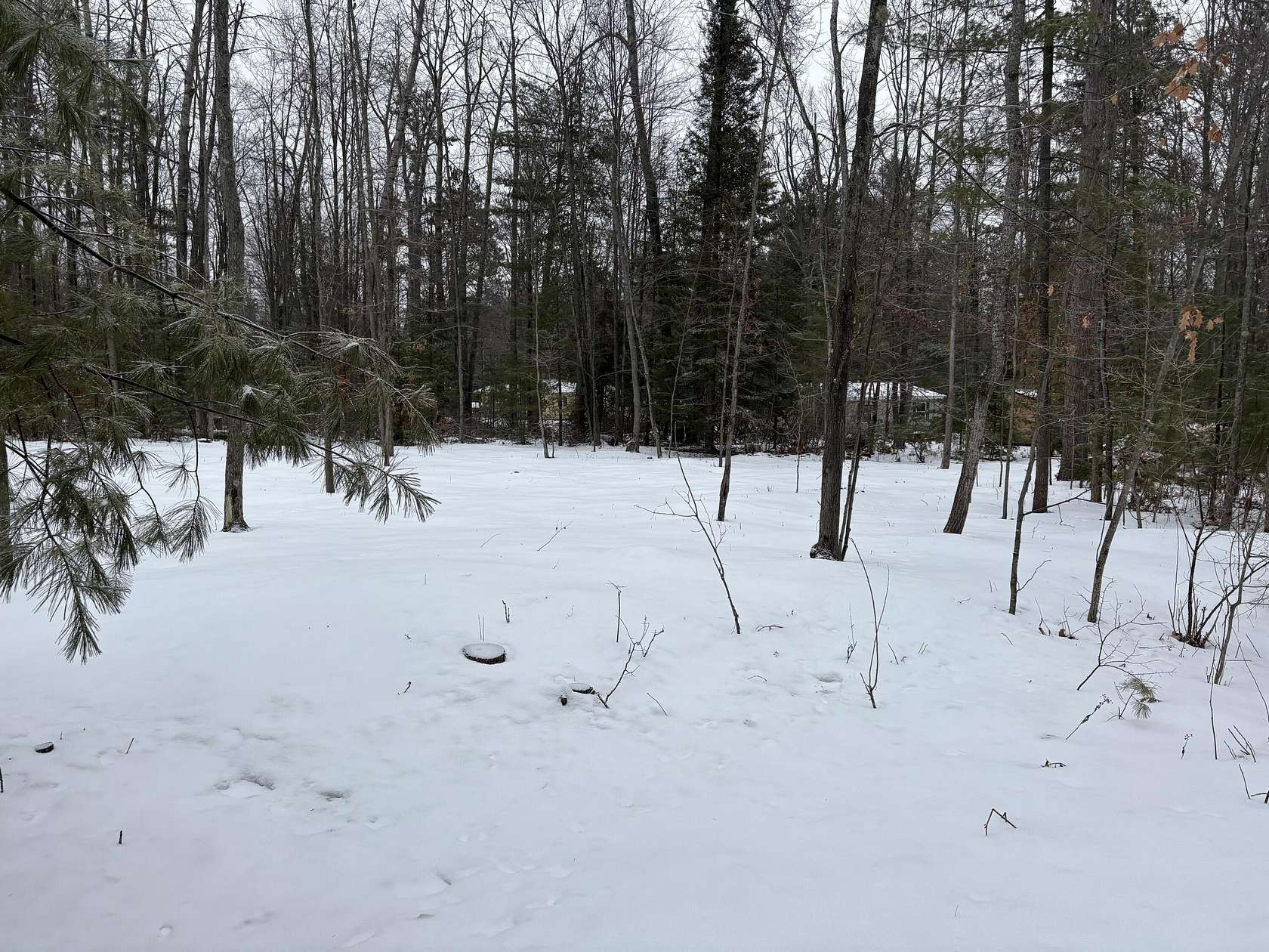 1.28 Acres of Land for Sale in Atlanta, Michigan