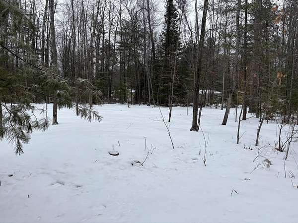 1.28 Acres of Land for Sale in Atlanta, Michigan