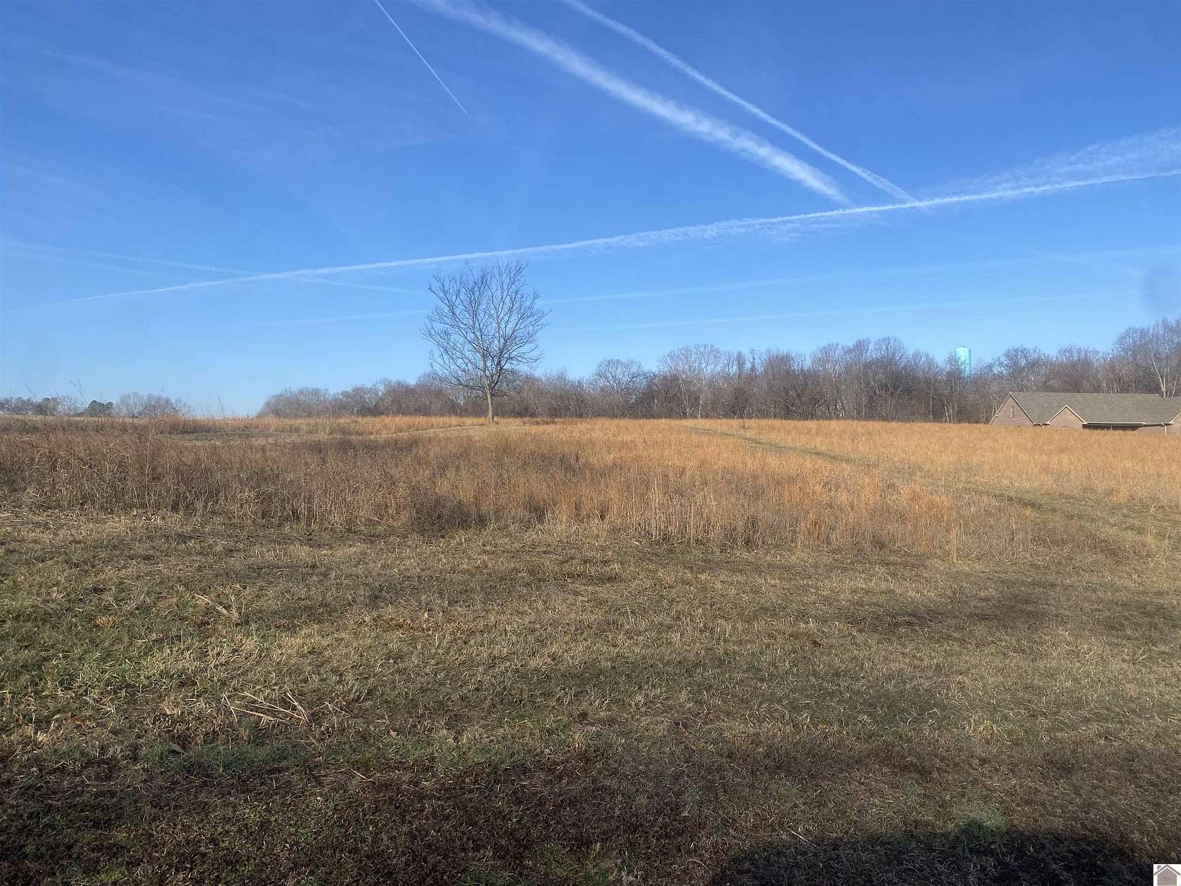22 Acres of Land for Sale in Cadiz, Kentucky