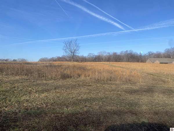 22 Acres of Agricultural Land for Sale in Cadiz, Kentucky