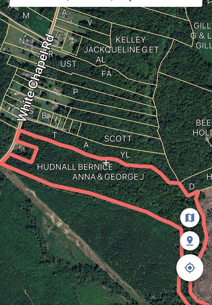 24.3 Acres of Recreational Land for Sale in Lively, Virginia