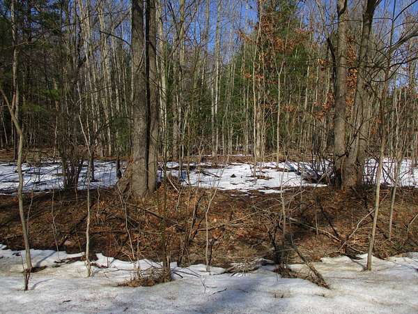 5 Acres of Residential Land for Sale in Pullman, Michigan