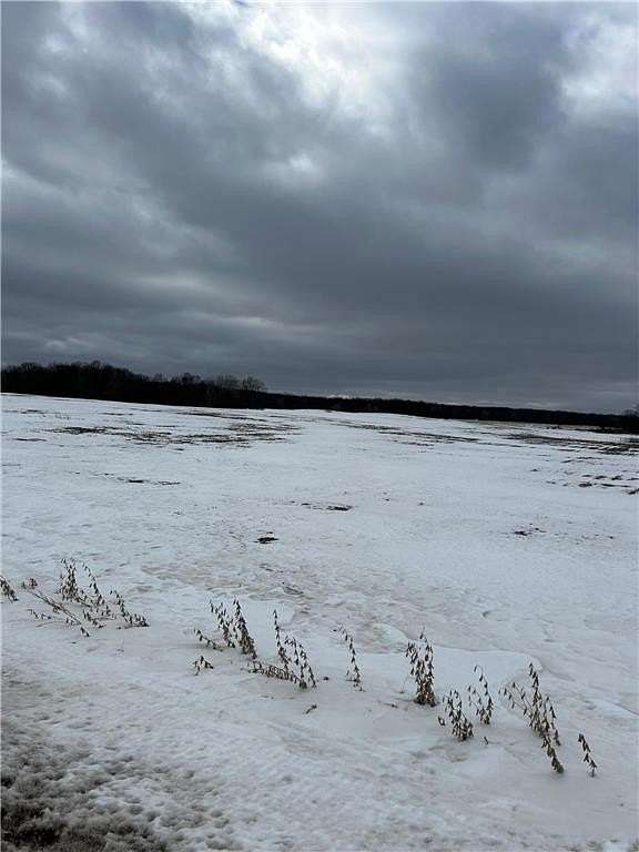 12 Acres of Land for Sale in Woodville, Wisconsin