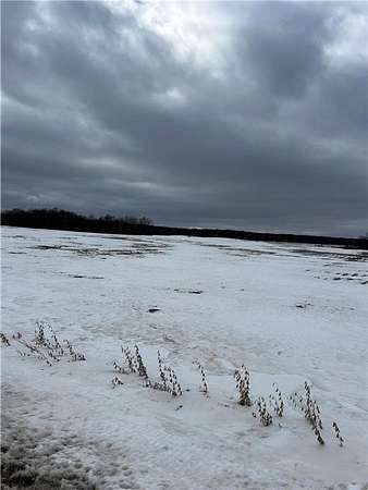 12 Acres of Land for Sale in Woodville, Wisconsin