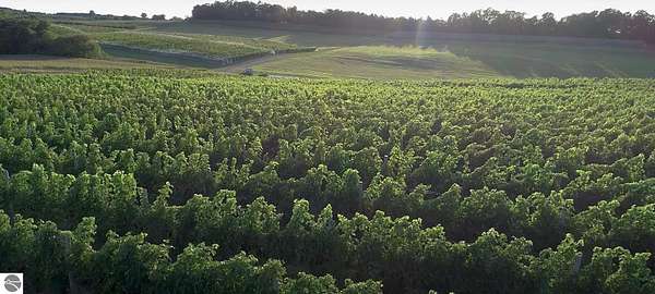 48.7 Acres of Improved Land for Sale in Lake Leelanau, Michigan