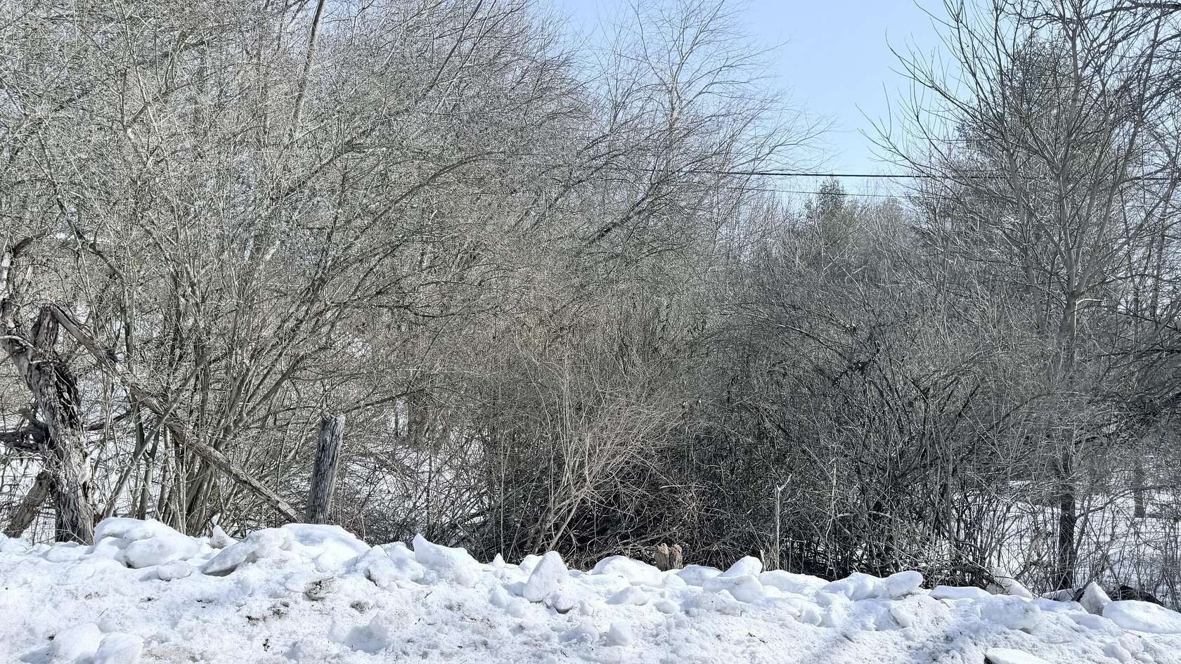 7 Acres of Residential Land for Sale in Anthony, West Virginia