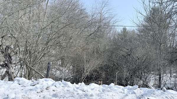 7 Acres of Residential Land for Sale in Anthony, West Virginia