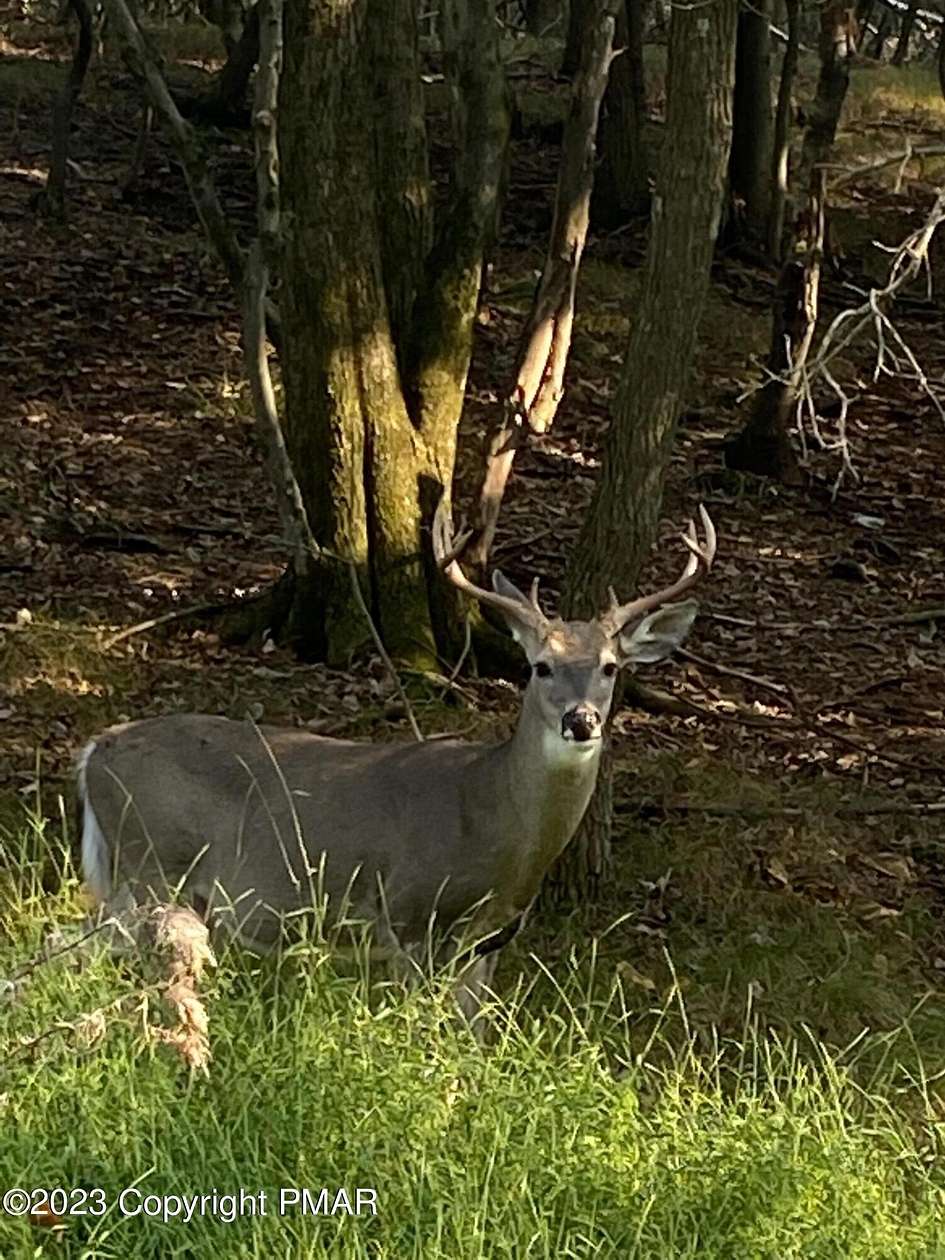 0.67 Acres of Residential Land for Sale in White Haven, Pennsylvania