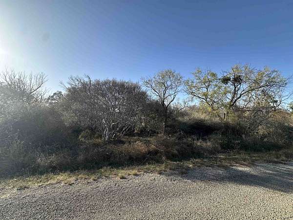 0.22 Acres of Land for Sale in Granite Shoals, Texas
