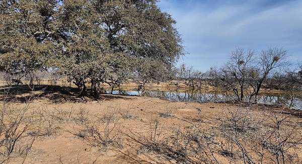 35.1 Acres of Agricultural Land for Sale in Rochelle, Texas