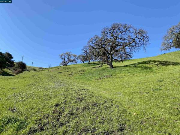 11.7 Acres of Land for Sale in Danville, California