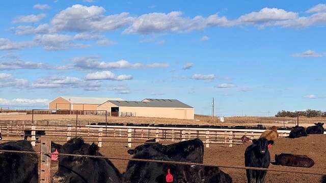 640 Acres of Agricultural Land with Home for Sale in Parks, Nebraska