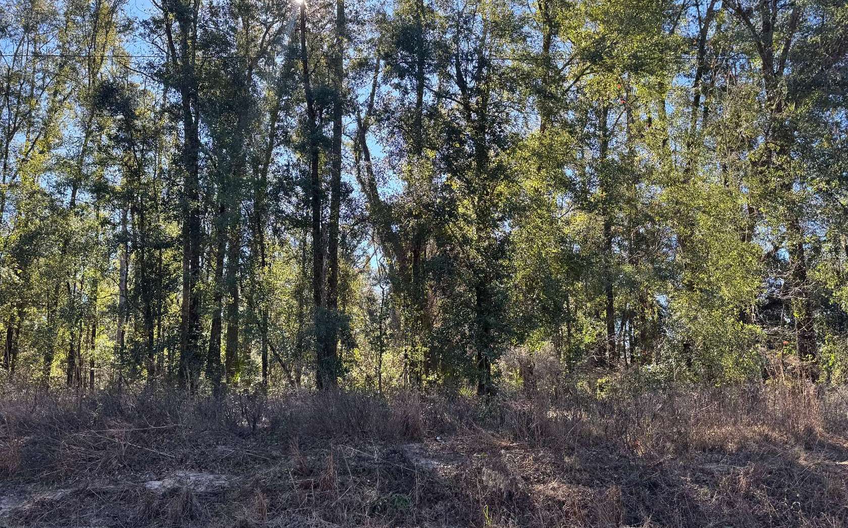 2.2 Acres of Residential Land for Sale in Jasper, Florida