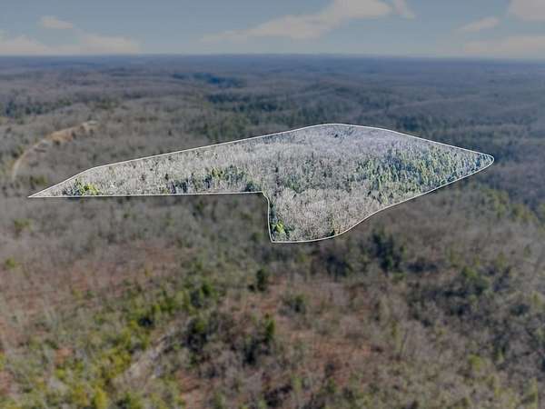 60 Acres of Recreational & Residential Land for Sale in Jamestown, Tennessee