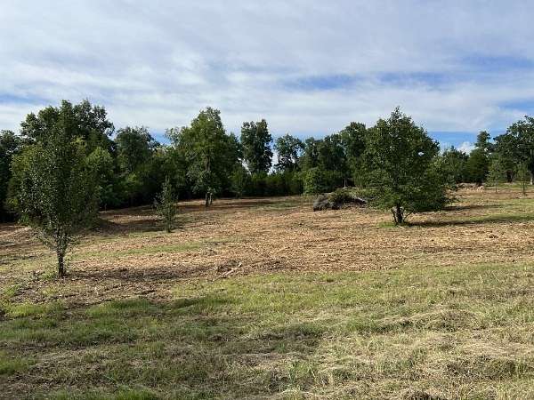 7.39 Acres of Residential Land for Auction in Shelbyville, Tennessee