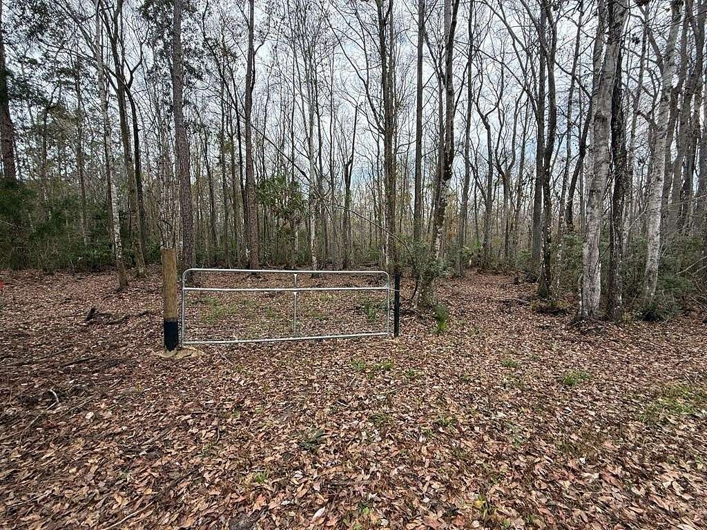 2.68 Acres of Residential Land for Sale in Homosassa, Florida