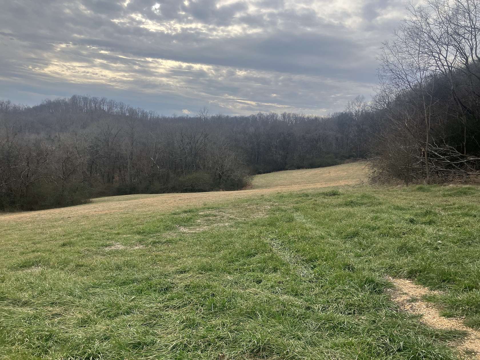 53.5 Acres of Recreational & Residential Land for Sale in Mount Pleasant, Tennessee