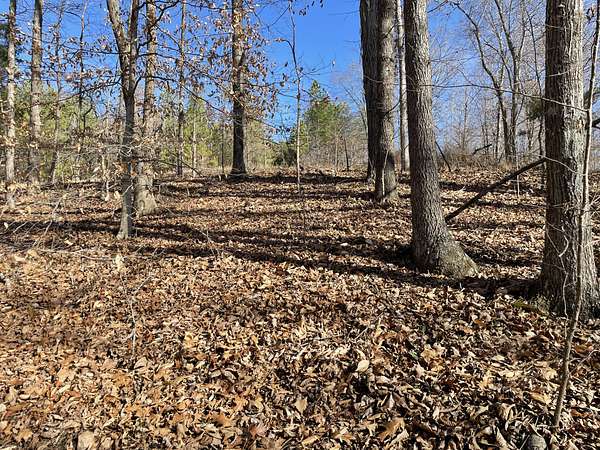 2.7 Acres of Residential Land for Sale in Big Rock, Tennessee