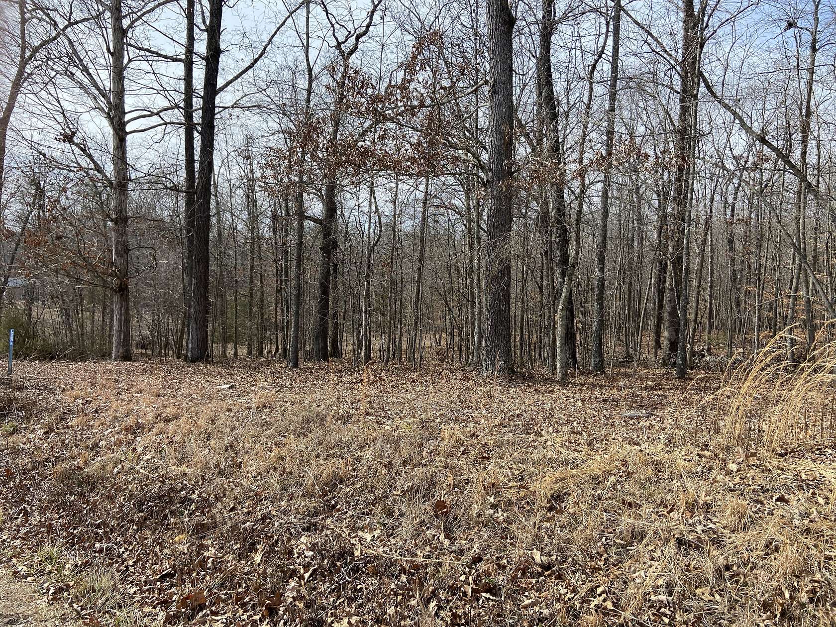 0.8 Acres of Residential Land for Sale in Flintville, Tennessee