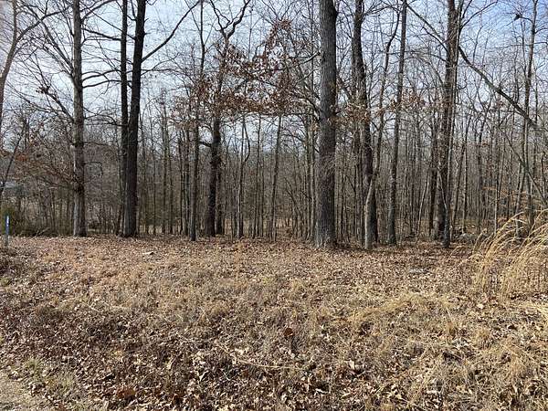 0.8 Acres of Residential Land for Sale in Flintville, Tennessee
