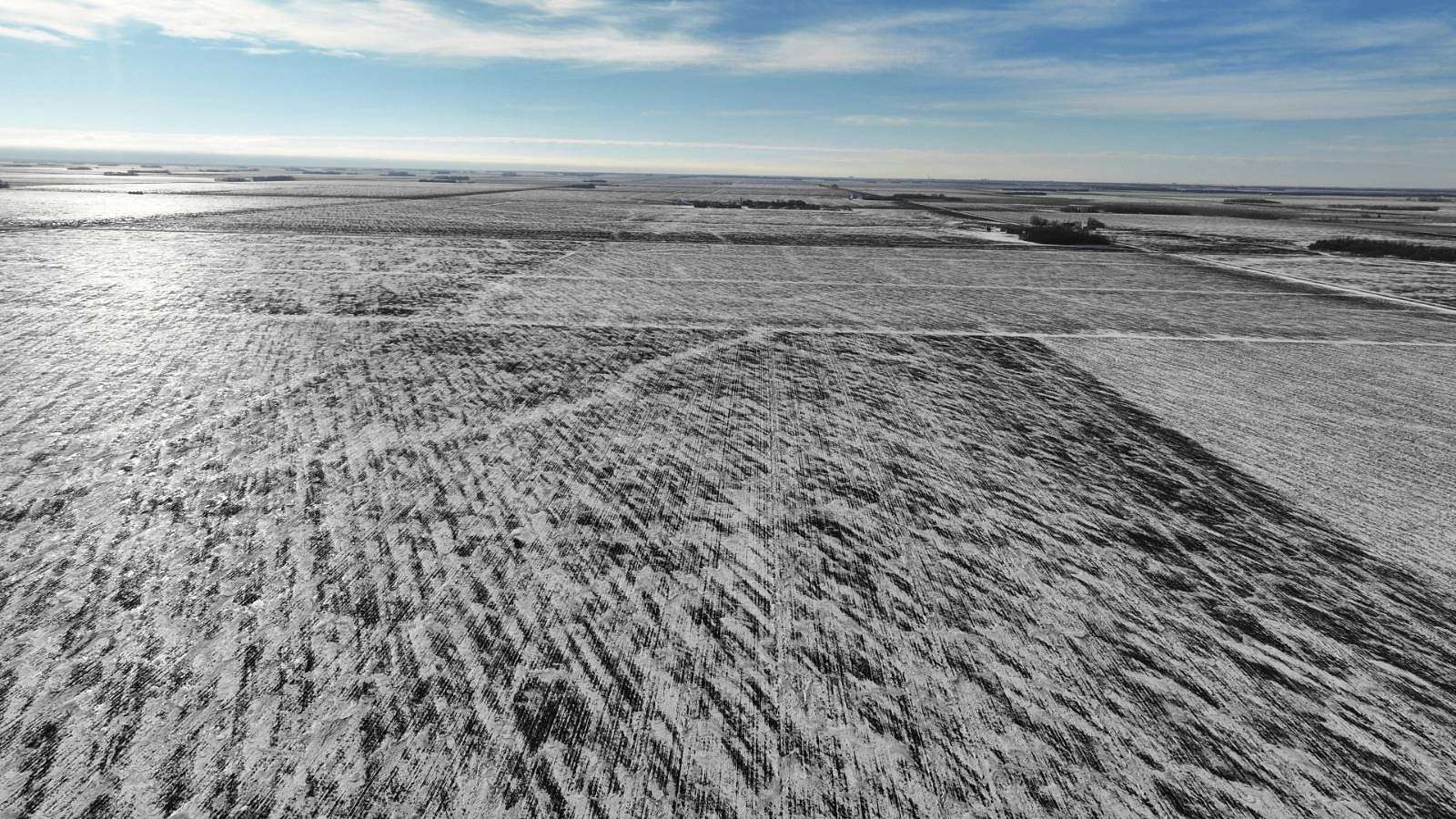 40 Acres of Land for Auction in Georgetown, Minnesota