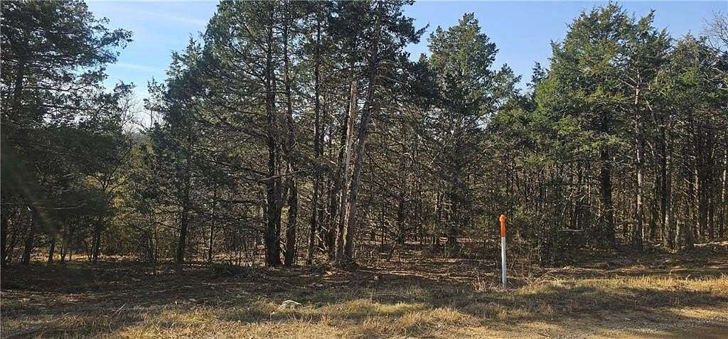 0.56 Acres of Residential Land for Sale in Diamond City, Arkansas
