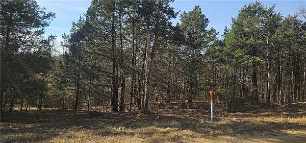 0.56 Acres of Residential Land for Sale in Diamond City, Arkansas