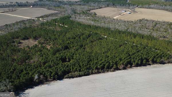 16.8 Acres of Recreational & Residential Land for Sale in Mershon, Georgia