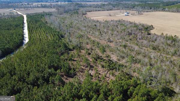 15.5 Acres of Recreational & Residential Land for Sale in Mershon, Georgia