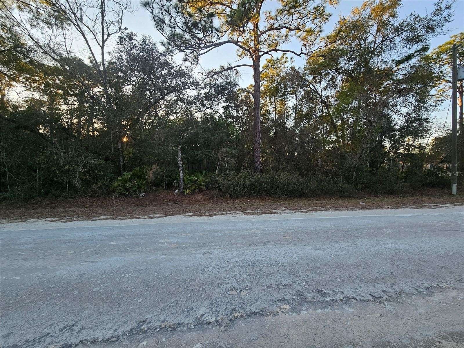 1.16 Acres of Residential Land for Sale in Webster, Florida