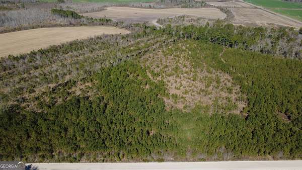 11 Acres of Recreational & Residential Land for Sale in Mershon, Georgia