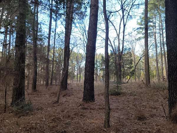 5 Acres of Land for Sale in Athens, Texas