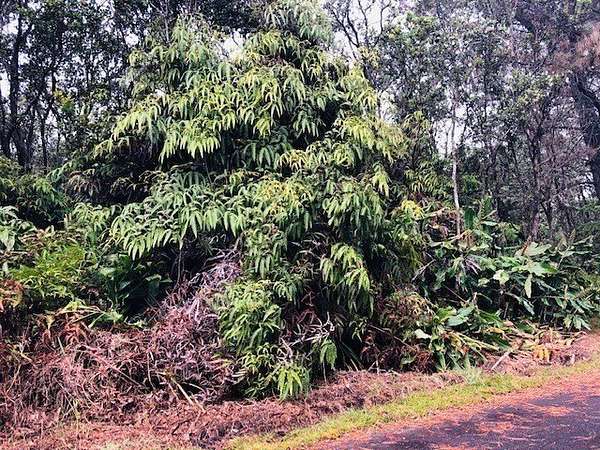 0.35 Acres of Residential Land for Sale in Volcano, Hawaii