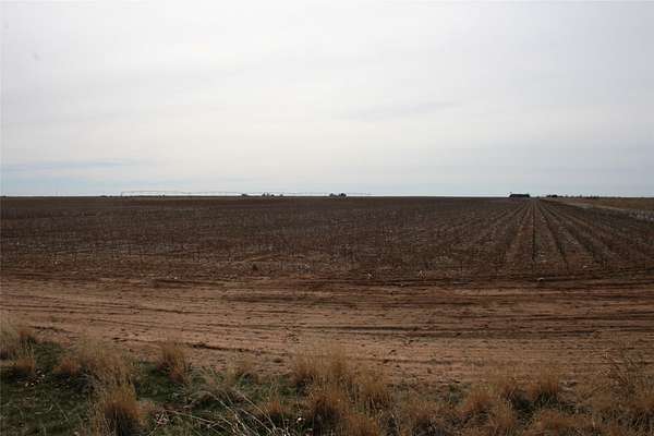 199 Acres of Agricultural Land for Sale in Goree, Texas