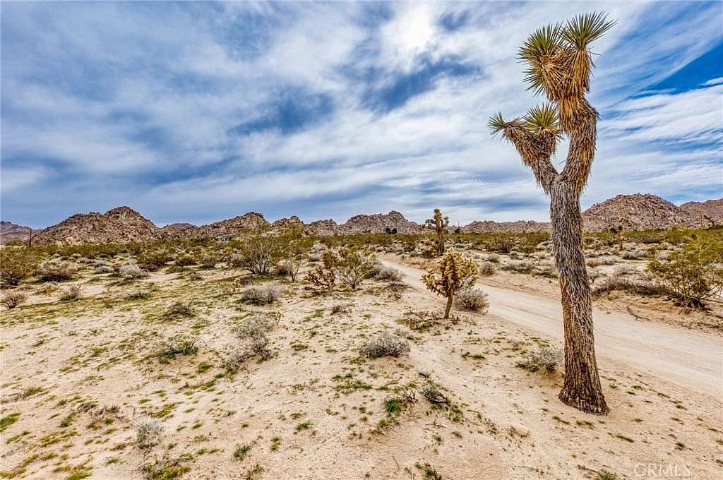 5 Acres of Residential Land for Sale in Joshua Tree, California