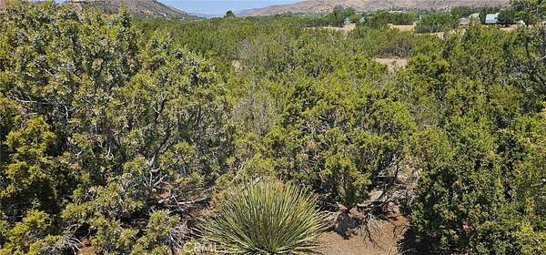 4.43 Acres of Land for Sale in Acton, California