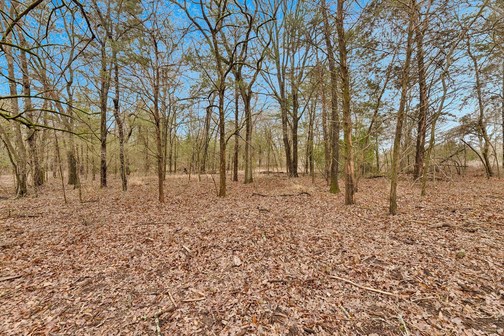 50 Acres of Land for Sale in Kaufman, Texas