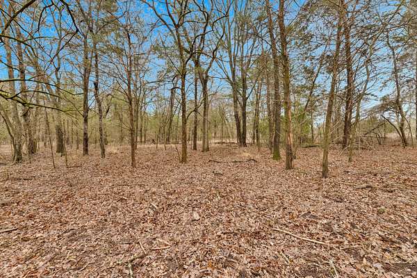 50 Acres of Land for Sale in Kaufman, Texas