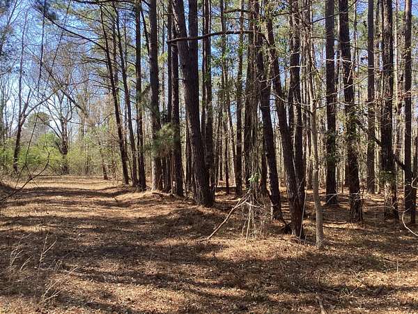 0.26 Acres of Land for Sale in St. Stephen, South Carolina