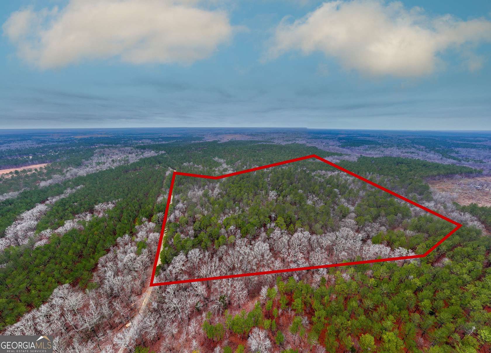 44.6 Acres of Recreational Land for Sale in Carlton, Georgia