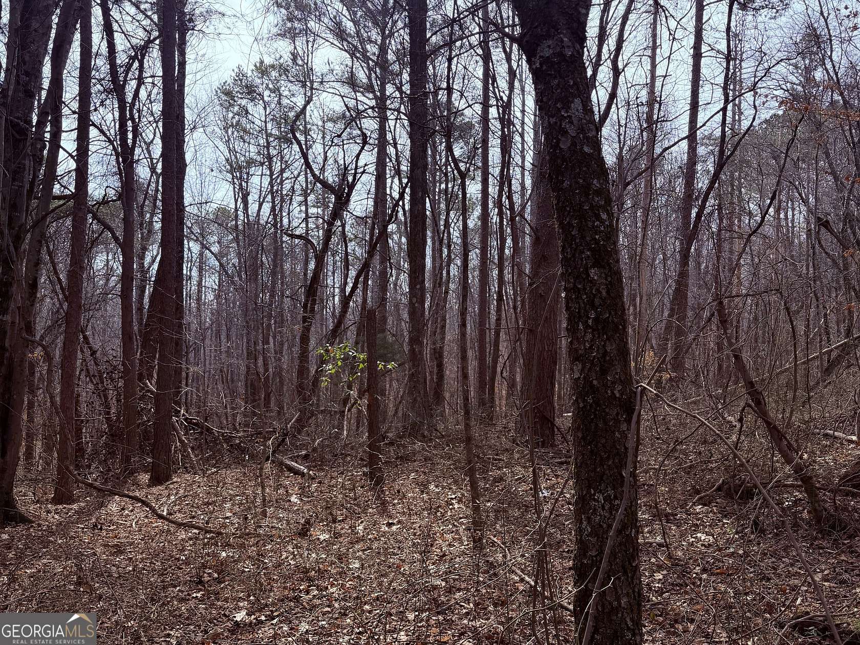 15 Acres of Recreational Land for Sale in Waco, Georgia