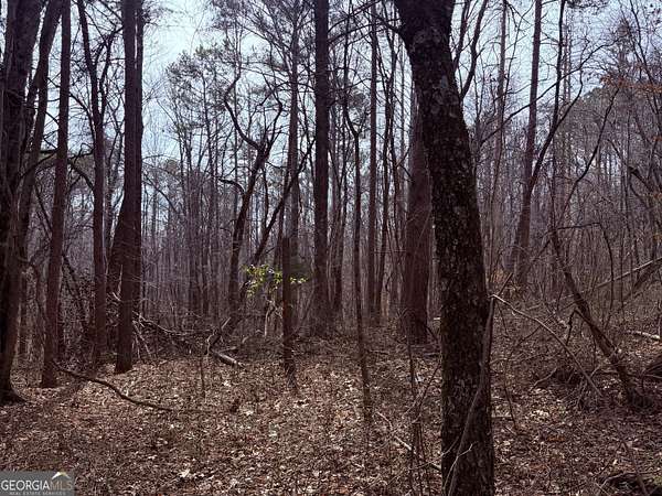 15 Acres of Recreational Land for Sale in Waco, Georgia