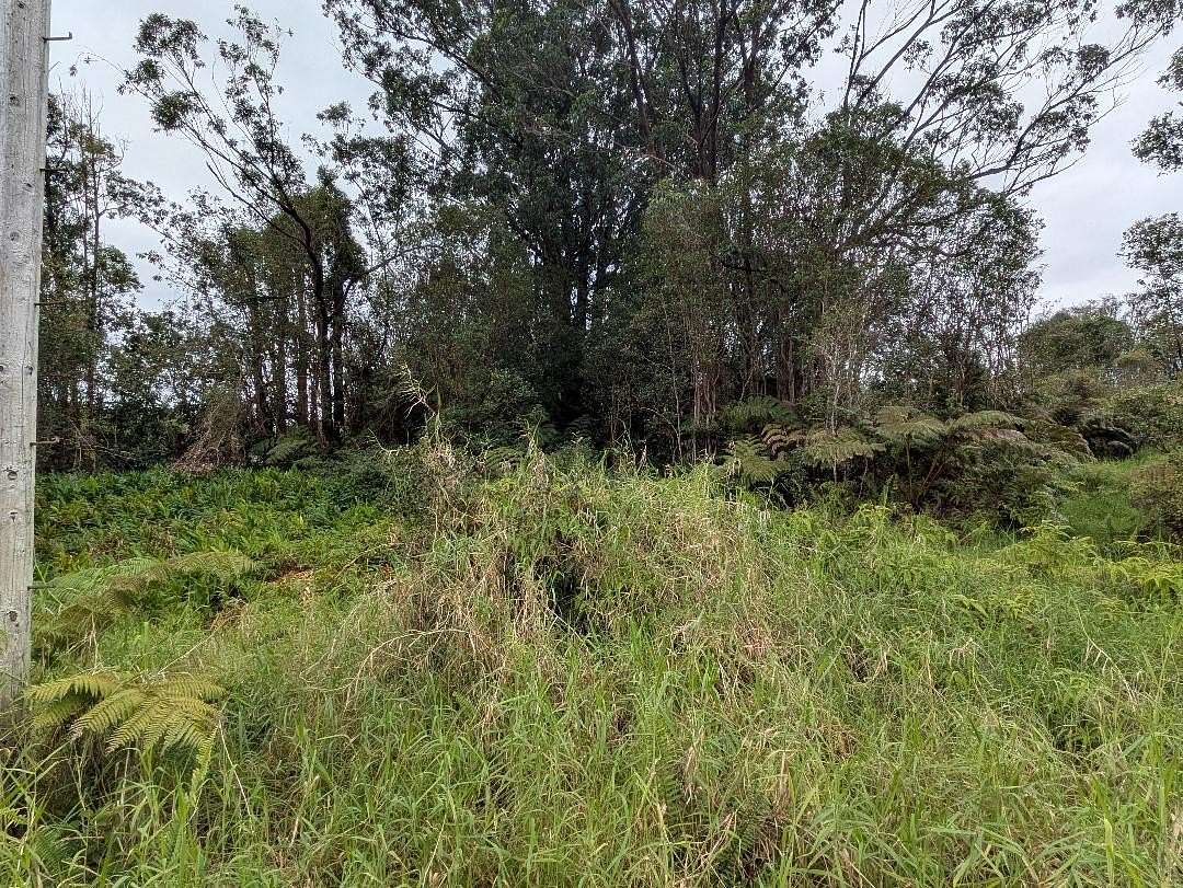 0.18 Acres of Land for Sale in Volcano, Hawaii