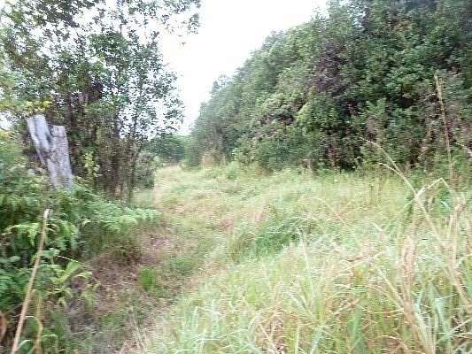 5 Acres of Land for Sale in Mountain View, Hawaii
