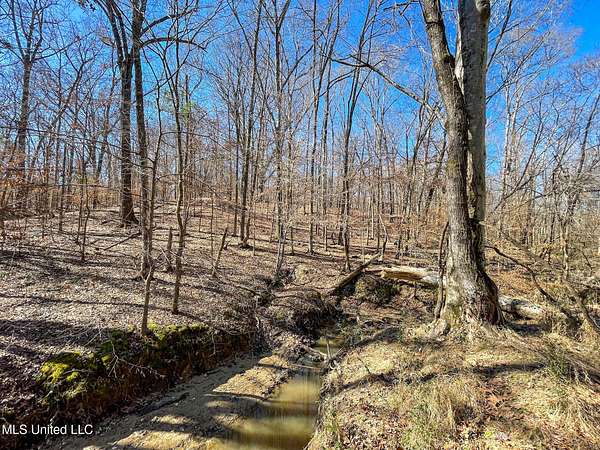 9.32 Acres of Residential Land for Sale in Flora, Mississippi