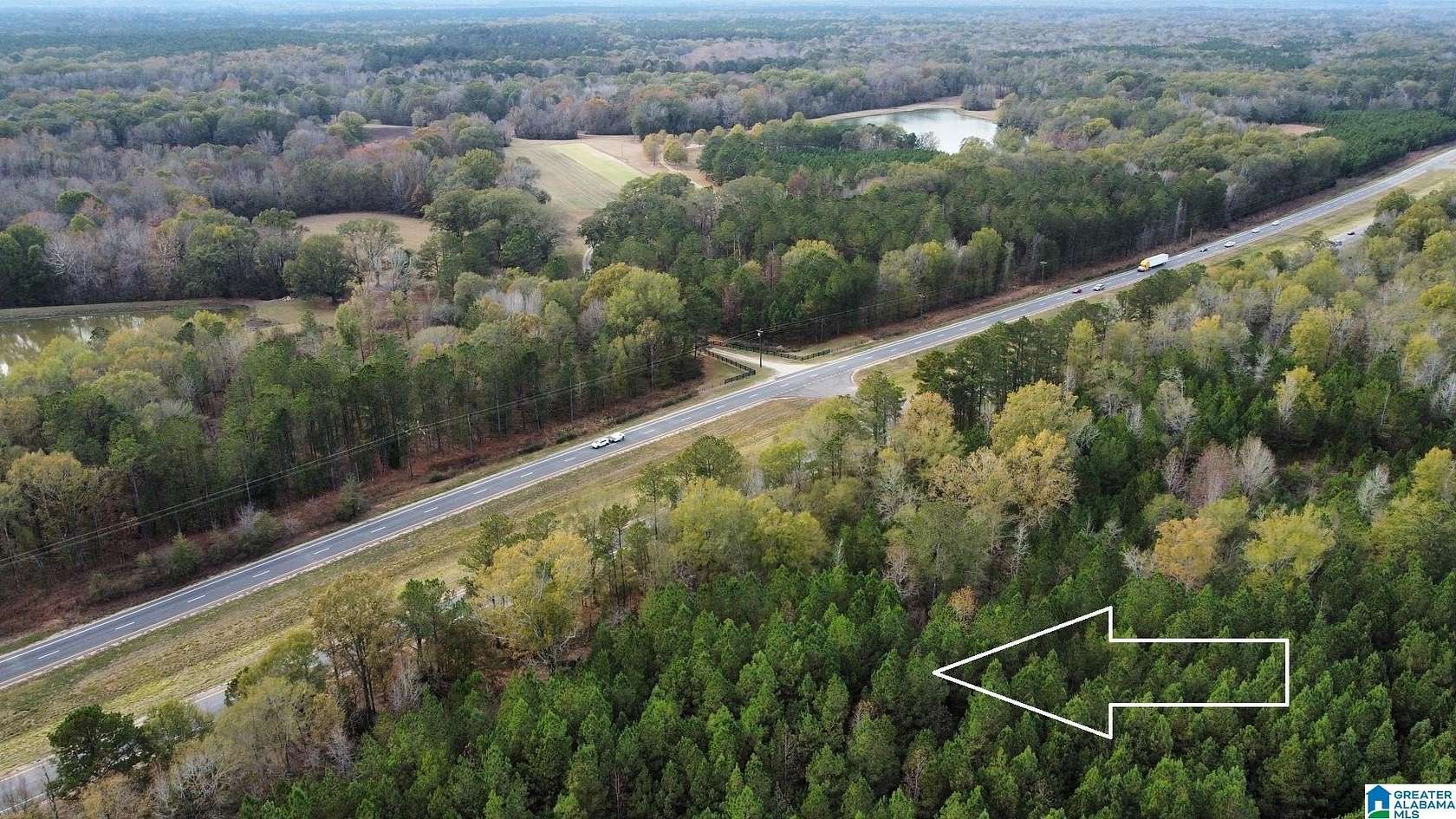 119 Acres of Recreational Land for Sale in Mathews, Alabama