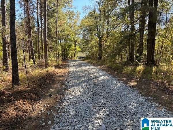 119 Acres of Recreational Land for Sale in Mathews, Alabama