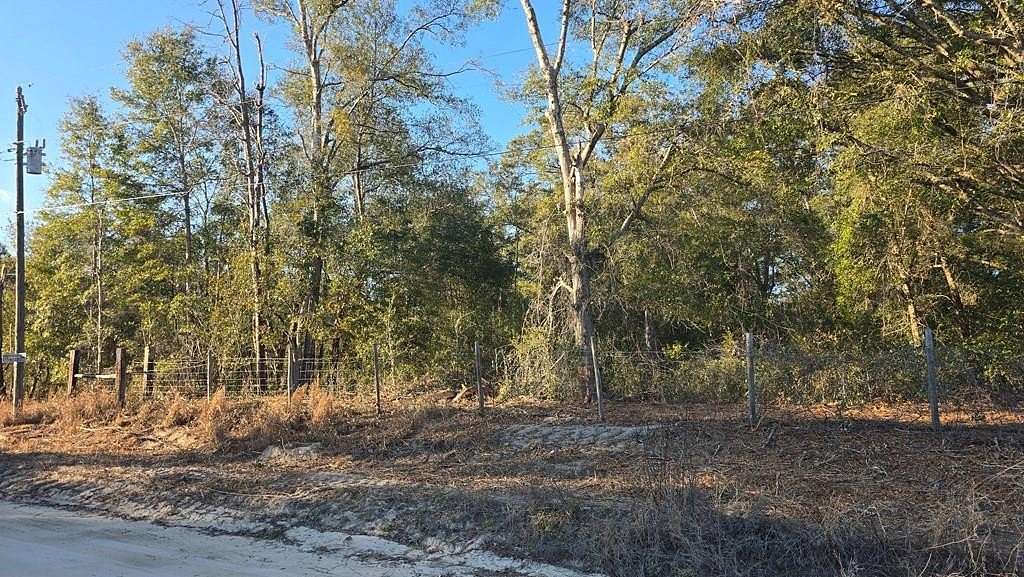 0.24 Acres of Residential Land for Sale in Trenton, Florida