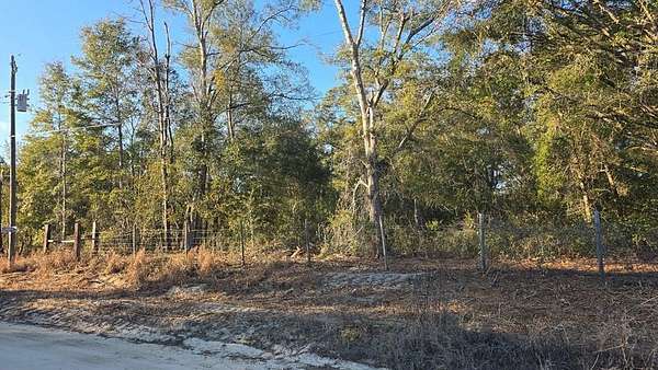 0.24 Acres of Residential Land for Sale in Trenton, Florida