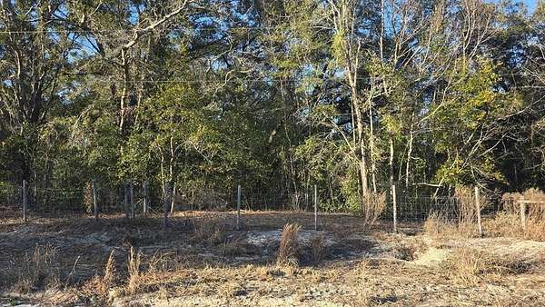 0.24 Acres of Residential Land for Sale in Trenton, Florida